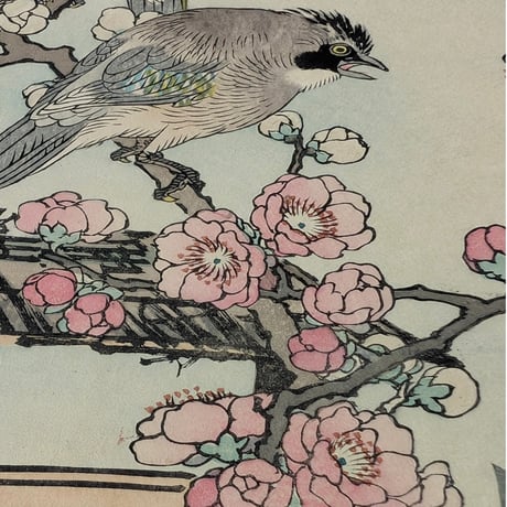 楳嶺 「楳嶺花鳥画譜　梅　橿鳥」