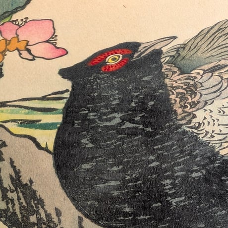 楳嶺 「楳嶺花鳥画譜　桃　雉子」