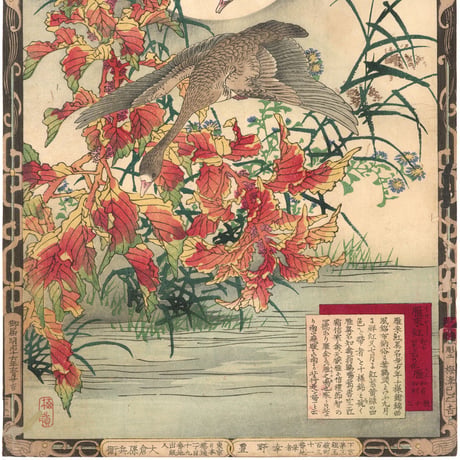 楳嶺 「楳嶺花鳥画譜　雁来紅　雁」