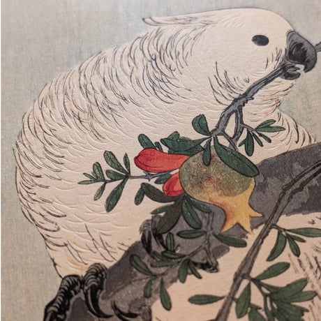伊藤総山  (石榴に鸚鵡)
