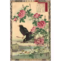 芳年「東錦浮世稿談 蜀順平候趙雲」 -趙雲子龍- | 古美術もりみや