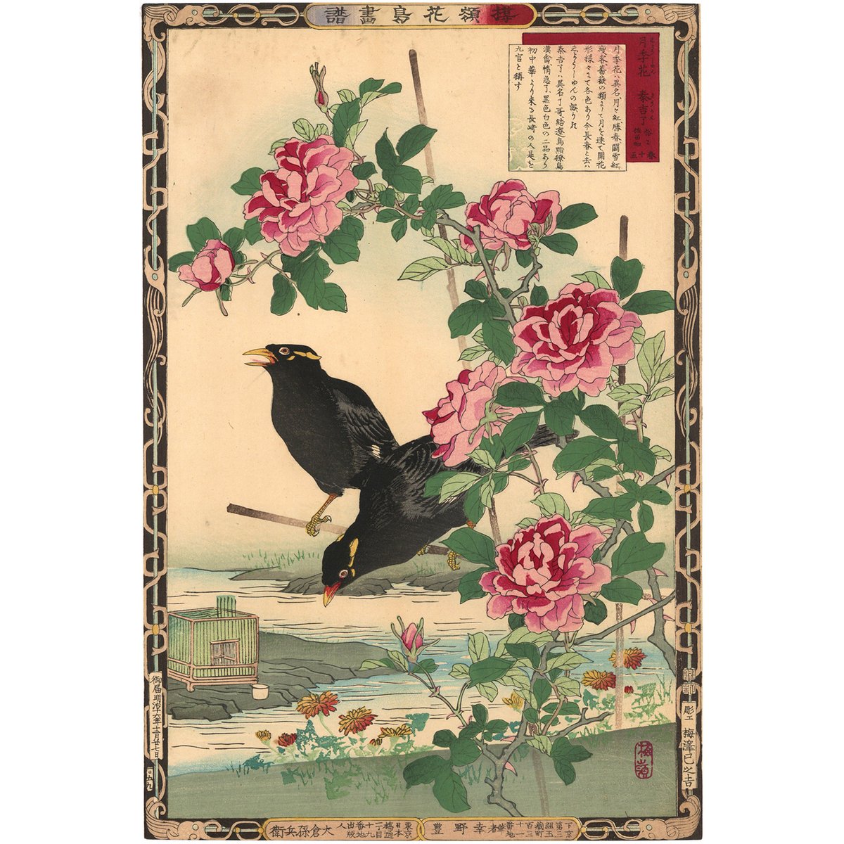楳嶺 「楳嶺花鳥画譜 月季花 九官鳥」 | 古美術もりみや
