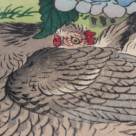 楳嶺 「楳嶺花鳥画譜　紫陽花　軍鶏」