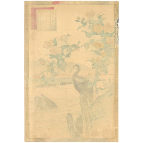 楳嶺 「楳嶺花鳥画譜　山吹　鵜」