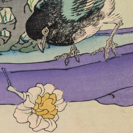 楳嶺 「楳嶺花鳥画譜　甘藍　鵲」