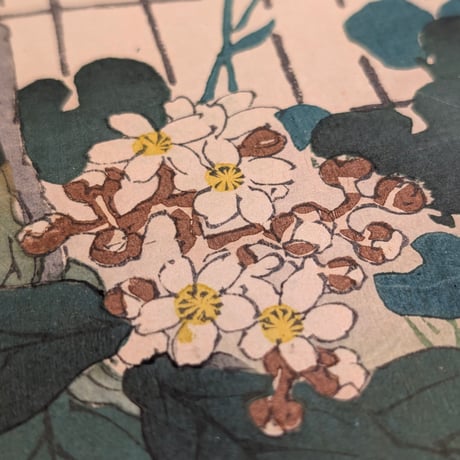 楳嶺 「楳嶺花鳥画譜　枇杷　鳥凰」