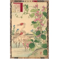 楳嶺 「楳嶺花鳥画譜　アジ豆　朱鷺」