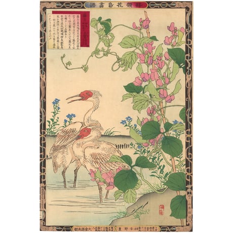 楳嶺 「楳嶺花鳥画譜　アジ豆　朱鷺」