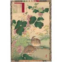 楳嶺 「楳嶺花鳥画譜　葛　鶉」