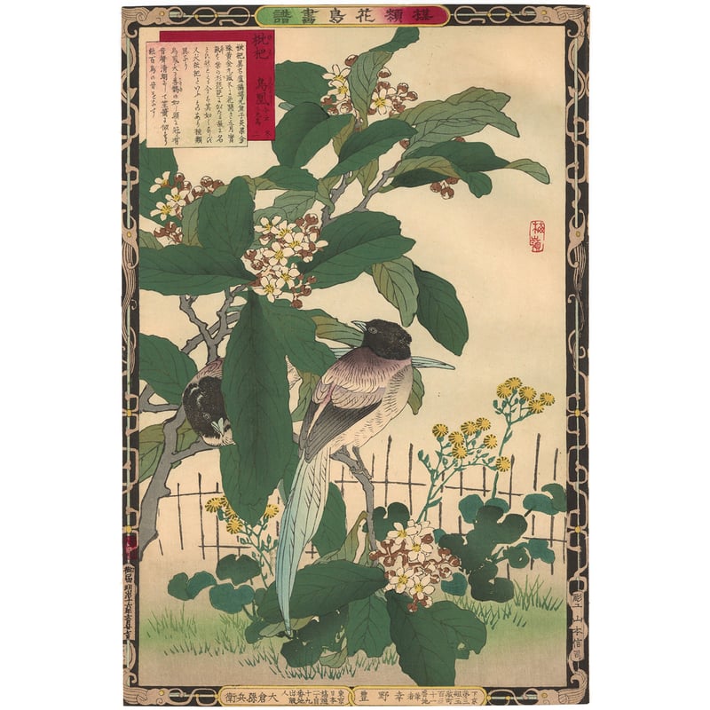 江戸屋版　媒嶺花鳥画譜第1編 27図 手作り古画修復　浮世絵風 楳嶺 「楳嶺花鳥画譜 枇杷 鳥凰」 | 古美術もりみや