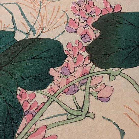 楳嶺 「楳嶺花鳥画譜　葛　鶉」