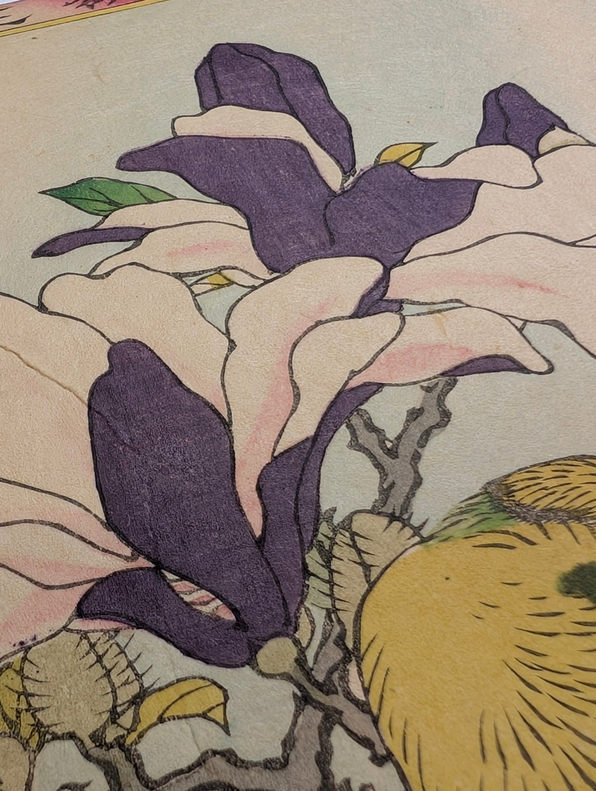 楳嶺 「楳嶺花鳥画譜 木蘭 雲雀」 | 古美術もりみや
