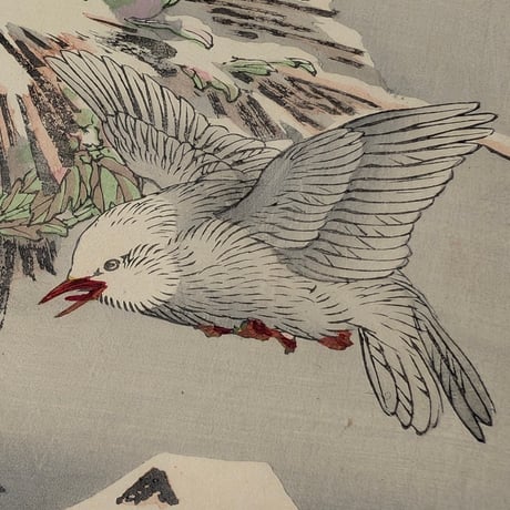 楳嶺 「楳嶺花鳥画譜　島鵯　温牡丹」
