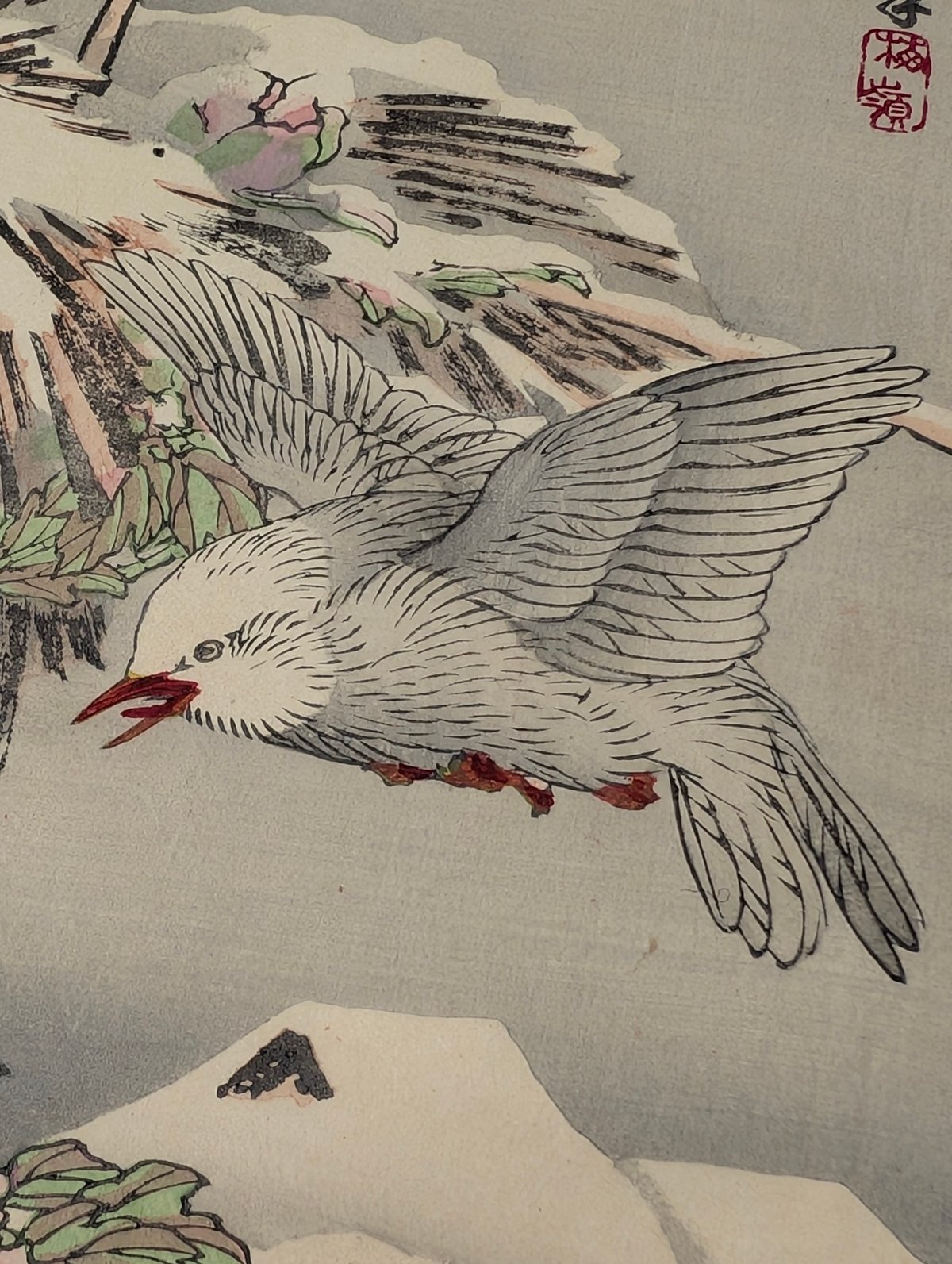 楳嶺 「楳嶺花鳥画譜 島鵯 温牡丹」 | 古美術もりみや