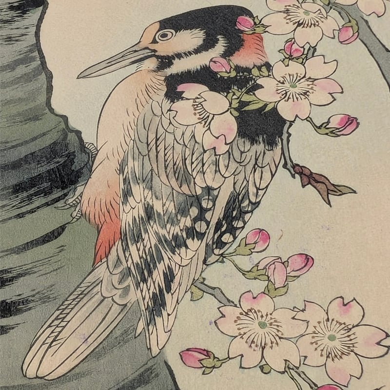 楳嶺 「楳嶺花鳥画譜 糸桜 啄木鳥」 | 古美術もりみや