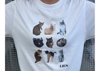 【送料無料】新リアンTシャツ（9匹の猫）