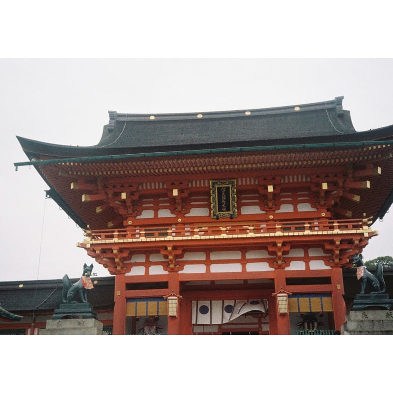 Canon 〗Demi 限定 赤 (#270) | ニクサンカメラ