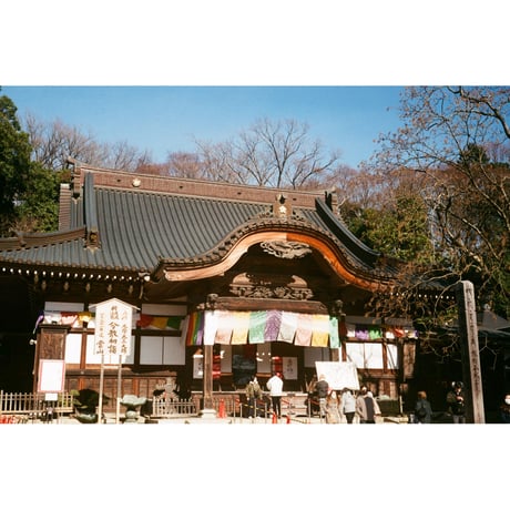 〖 Minolta 〗 minolta AL-E（カスタム色）（#84）