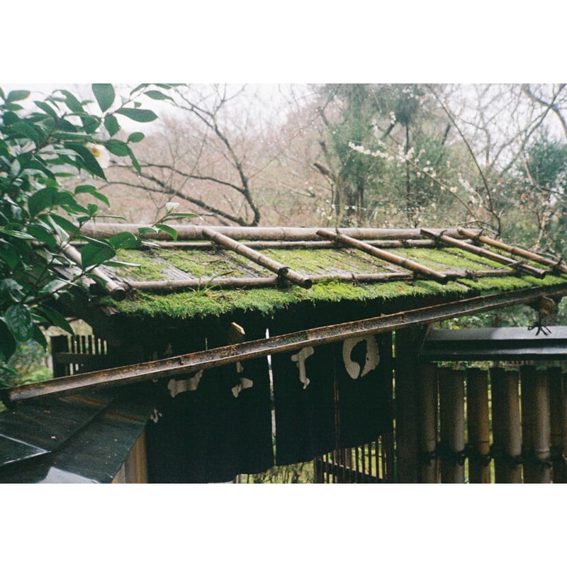 整備・実写済み⭐Canon Demi EE17⭐カーキ色の本革で東欧風に♪ わたしのカメラ三昧 第24回 「キヤノンDemi EE17」 | トイラボカフェ