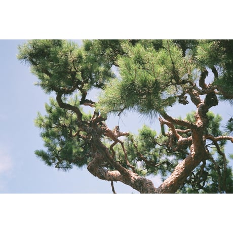〖Olympus〗35DC（#72）