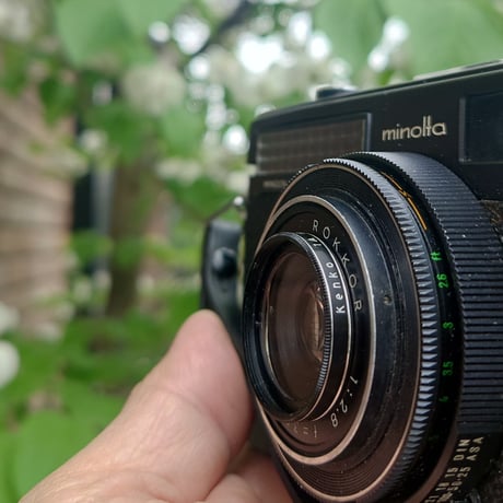 〖Minolta〗Minoltina-P ブラック（#281）