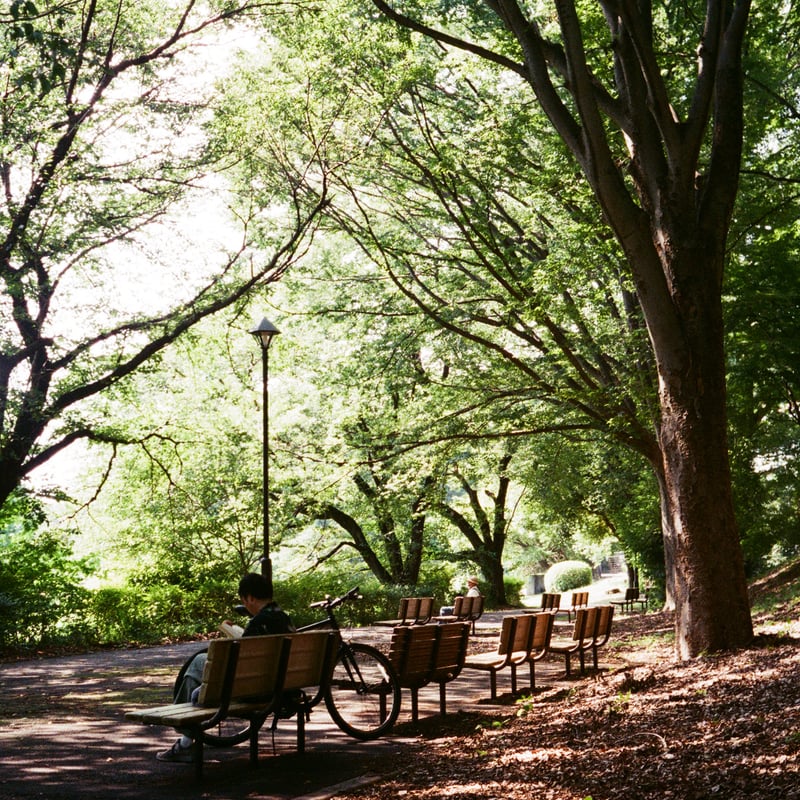 整備・実写済み⭐Canon Demi EE17⭐カーキ色の本革で東欧風