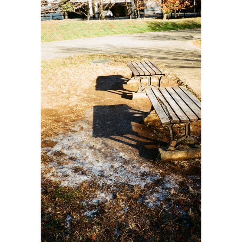 Konica〗 C35 E&L 藤（カスタム色）（#46） | ニクサンカメラ