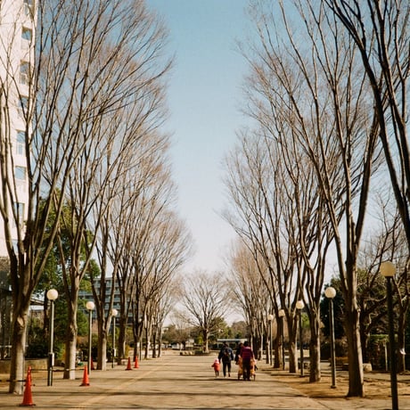 〖Konica〗 C35 Flash-matic（#85）