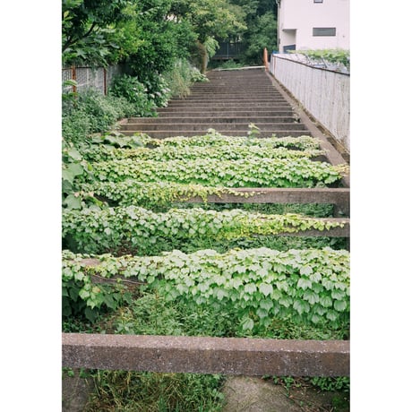 〖Minolta〗Hi-matic F ブラック（#41）