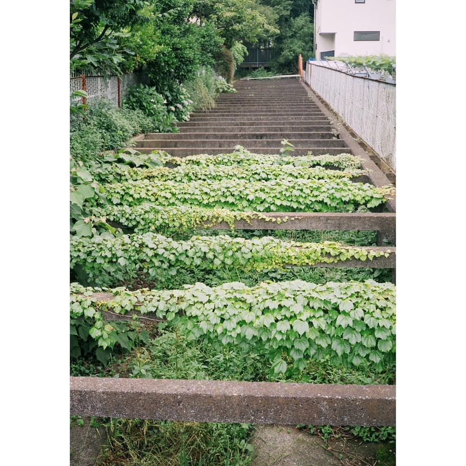 6395892bb2f36503189fb028