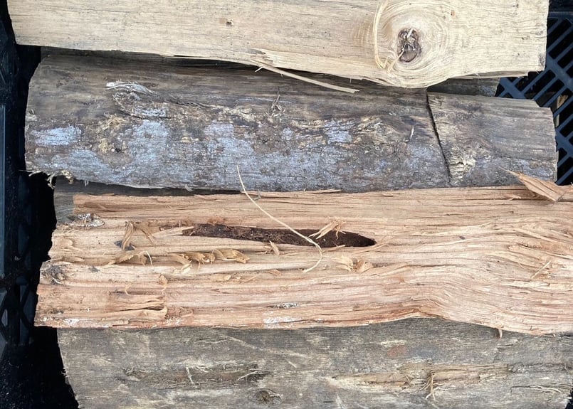 nunmul】広葉樹 薪 100kg引き取り 広葉樹ミックス 自然乾燥薪 約20kg