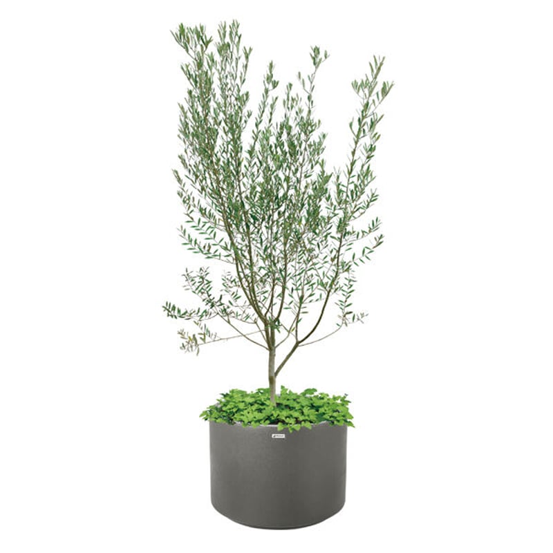 タウンプランターWS 植木鉢 底面給水機能付き大型プランター 丸 タウンプランターWS 植木鉢 底面給水機能付き大型プランター 丸