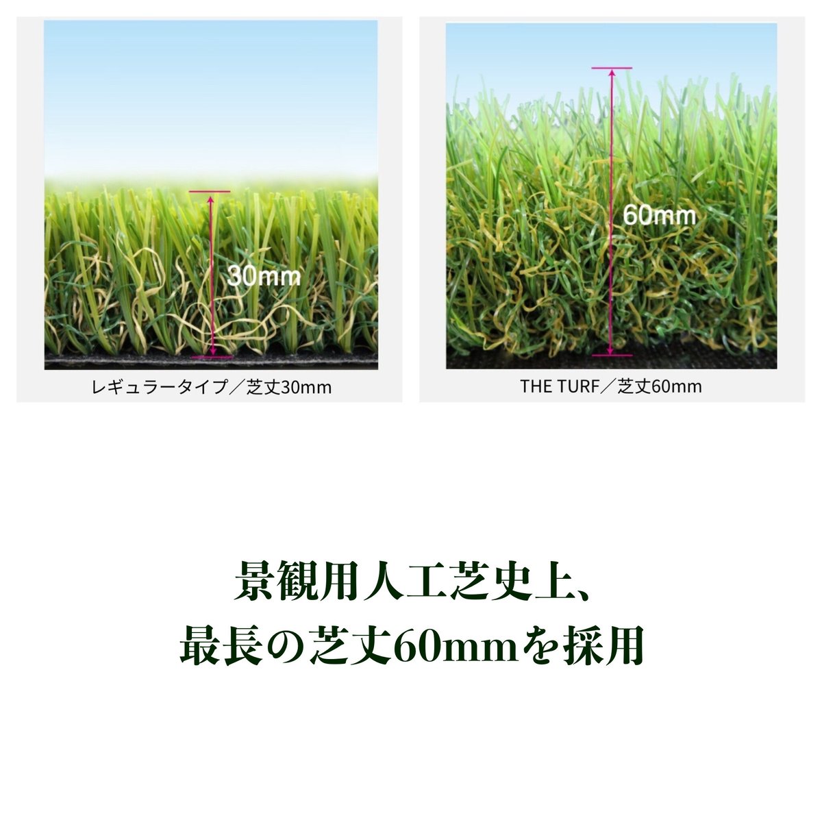 クローバーターフ THE TURF 60㎜ 人工芝 Gセレクション | coco GRAND