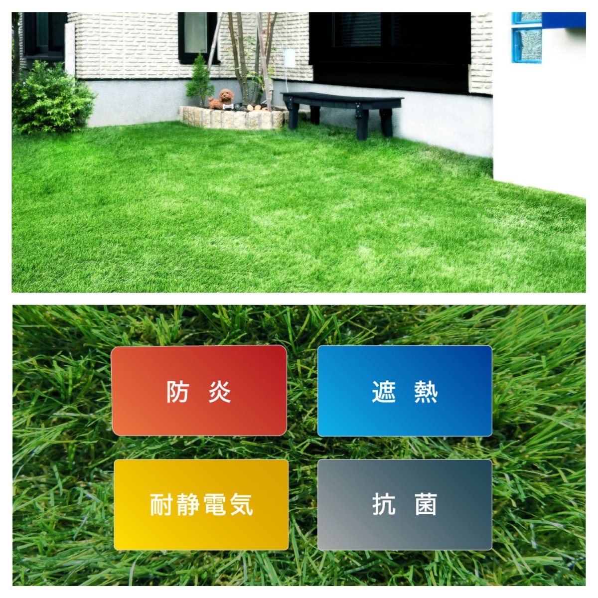 クローバーターフ THE TURF 60㎜ 人工芝 Gセレクション | coco GRAND クローバーターフ THE TURF 60㎜ 人工芝 Gセレクション | coco GRAND