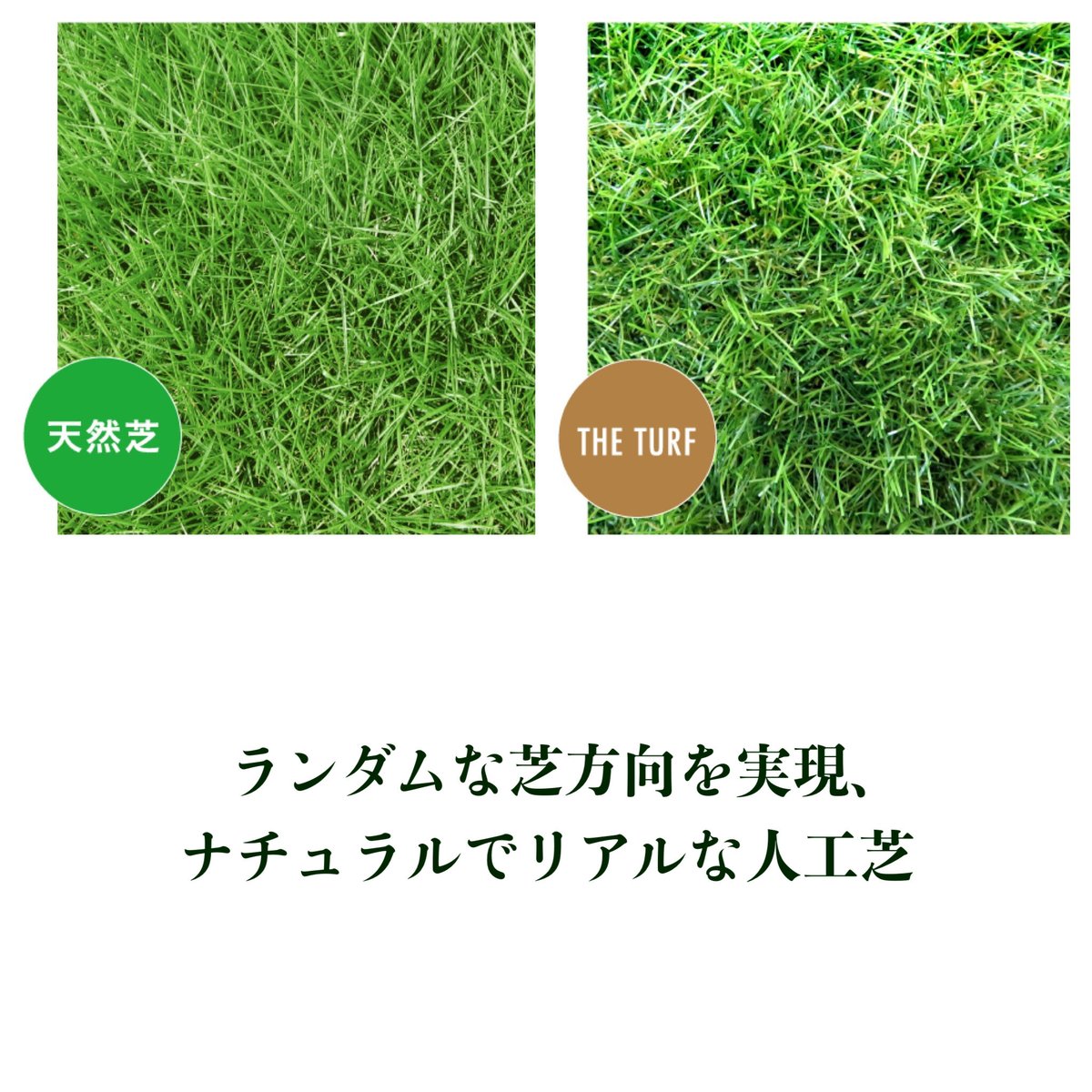 クローバーターフ THE TURF 60㎜ 人工芝 Gセレクション | coco GRAND クローバーターフ THE TURF 60㎜ 人工芝 Gセレクション | coco GRAND