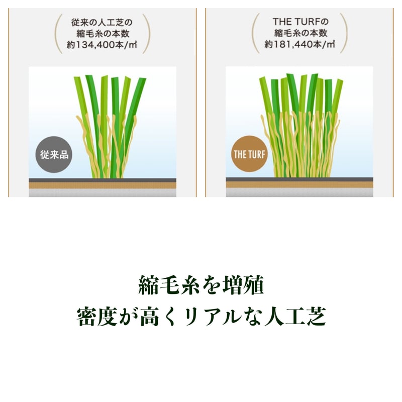 クローバーターフ THE TURF 60㎜ 人工芝 Gセレクション | coco GRAND クローバーターフ THE TURF 60㎜ 人工芝 Gセレクション | coco GRAND