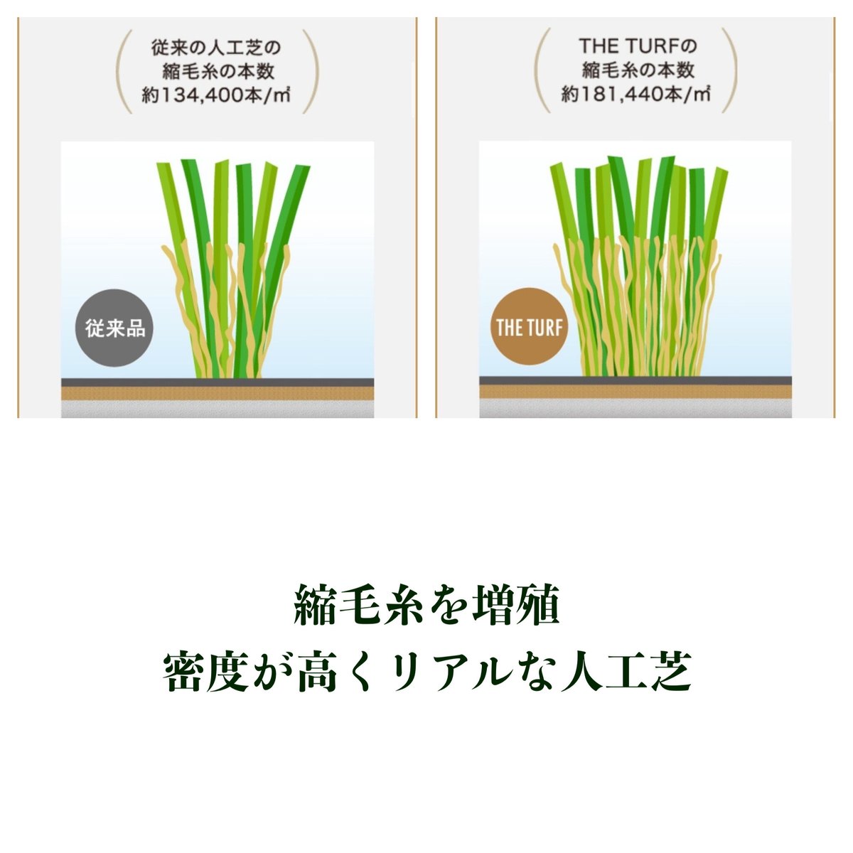 クローバーターフ THE TURF 60㎜ 人工芝 Gセレクション | coco GRAND