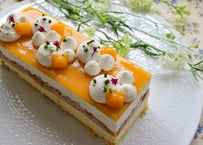 【栄養学とアートの融合。甘味料不使用、未体験の口福】VEGGI de PAN (6月はマンゴーティラミス）
