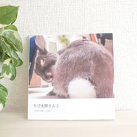 ちび太郎さん③ーおくちがいっぱいー | KUJIRA STORE