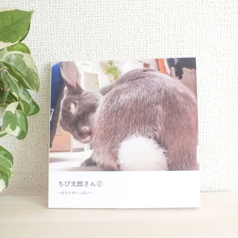 ちび太郎さん②ーおちりがいっぱいー | KUJIRA STORE