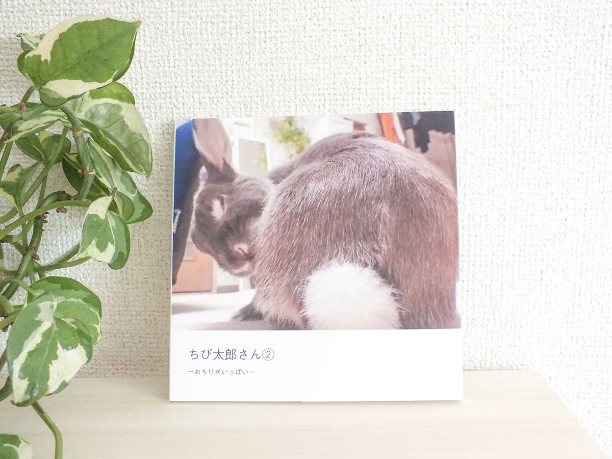 ちび太郎さん②ーおちりがいっぱいー | KUJIRA STORE