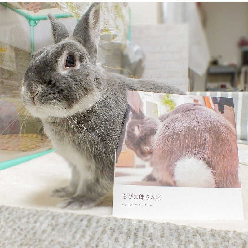 ちび太郎さん②ーおちりがいっぱいー | KUJIRA STORE