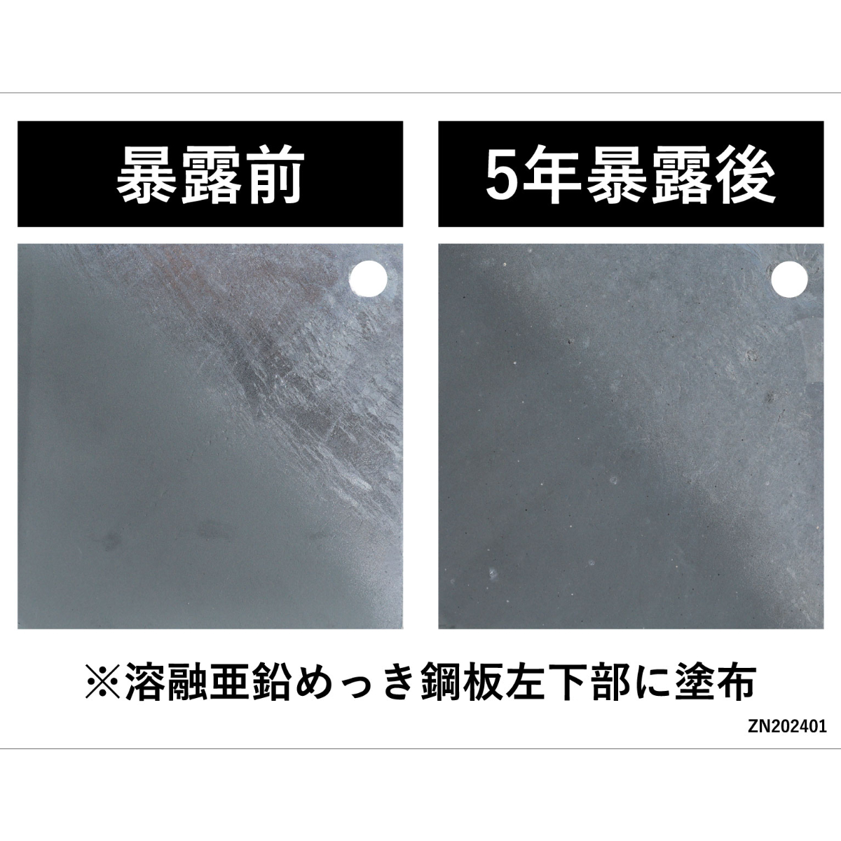 燕50 5種×10本 Z－205 あやめ本体 | 製品詳細 | シーピー化成株式会社