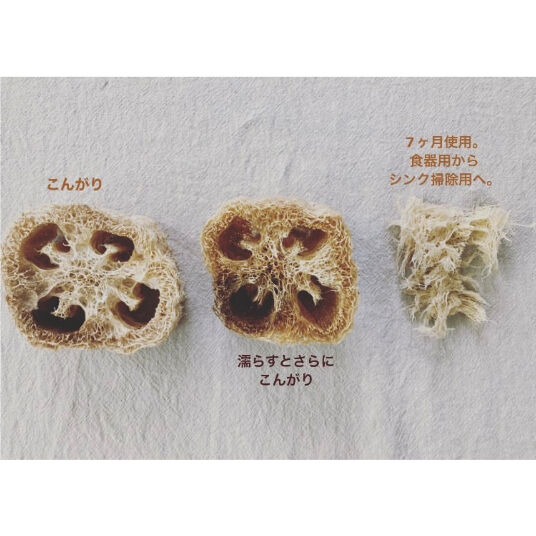 ヘチマたわし おまかせ5個セット | weeds vegetable garden ONLIN
