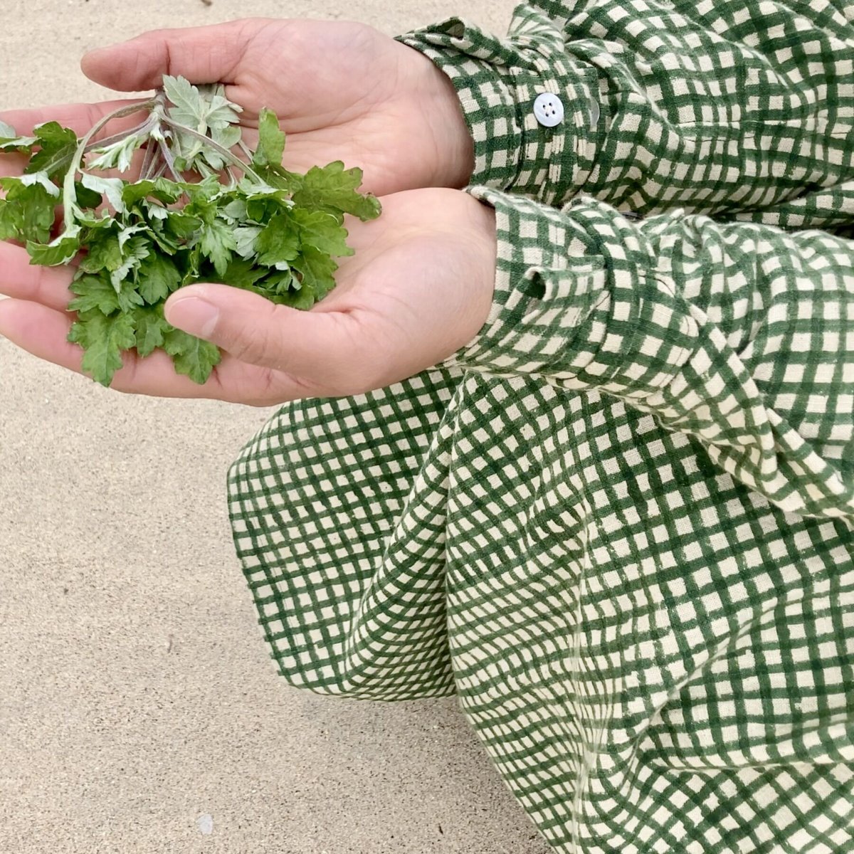 ギンガムチェック】緑 | weeds vegetable garden ONLINE SHOP