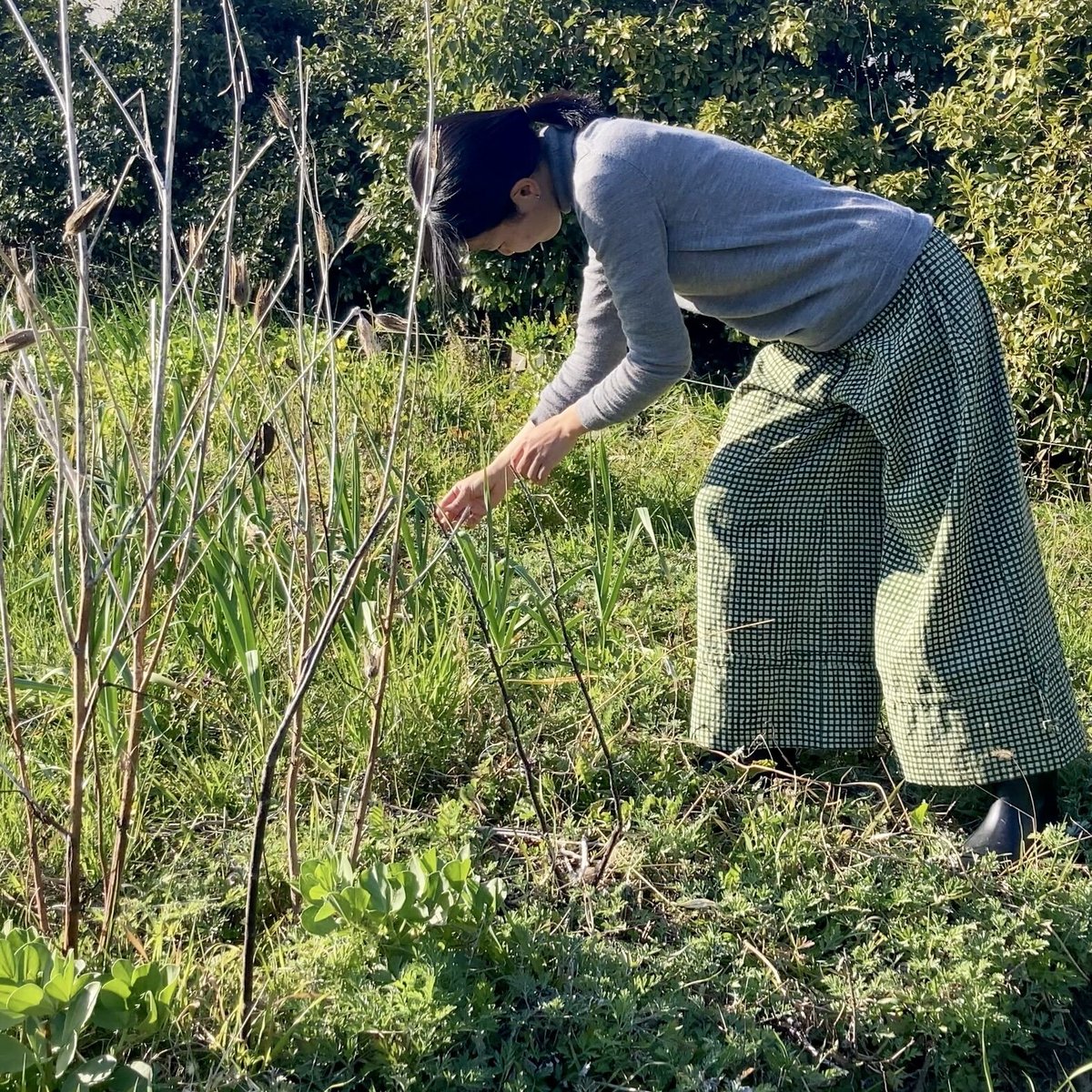 denim　家庭用　甘平 imgrc0103731367.jpg