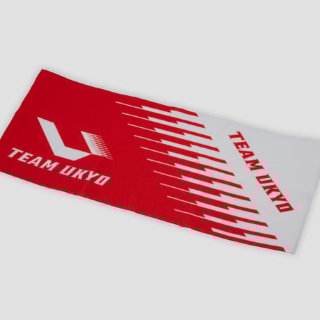 【未着用】TEAM UKYO ビブタイツ チーム右京 Sサイズ 未着用】TEAM UKYO ビブタイツ チーム右京 Sサイズ - メルカリ