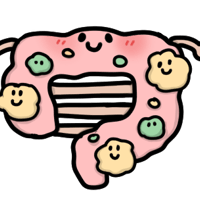 腸育講座（オプション）
