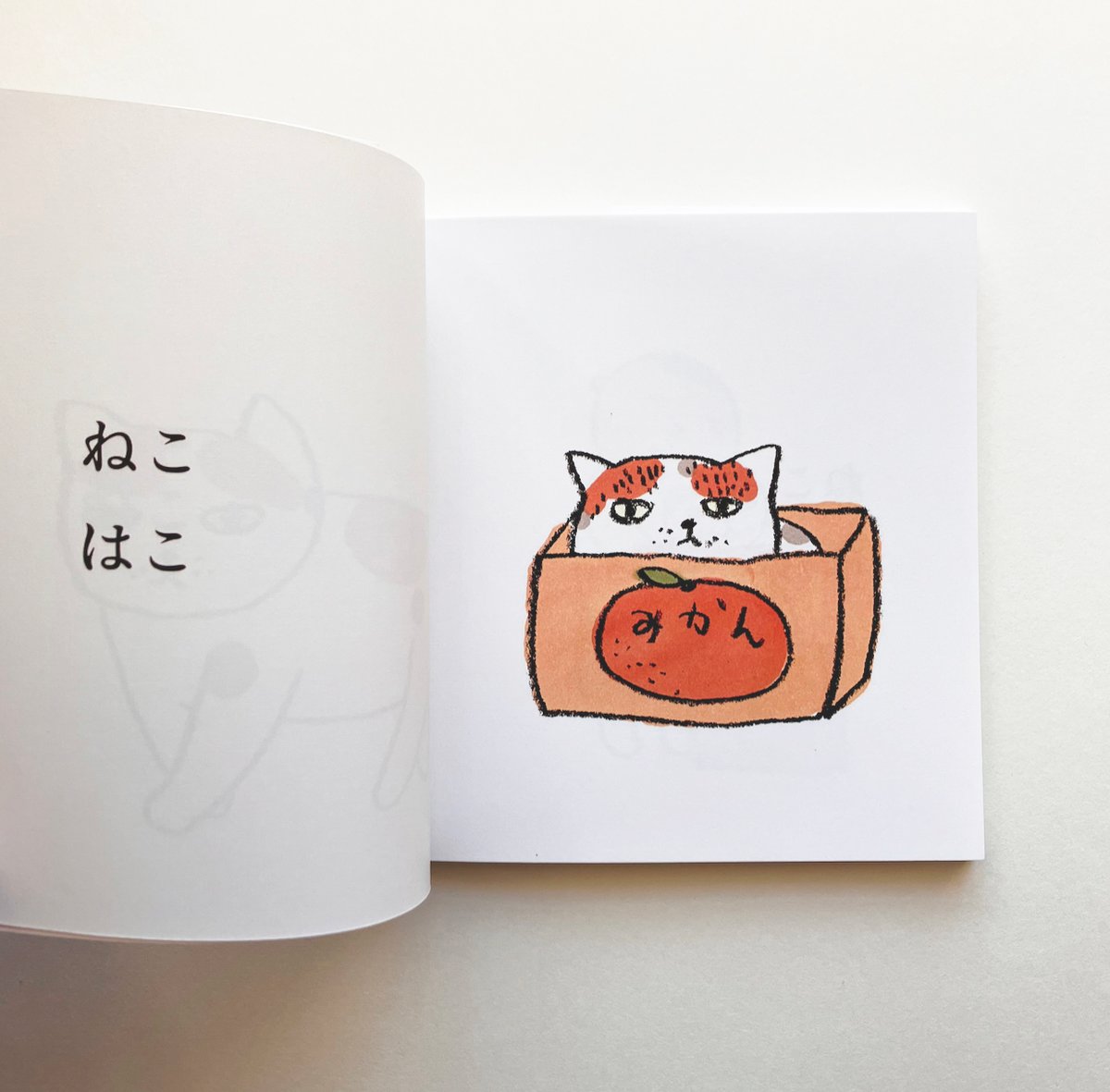 ZINE「 ねこ はこ」 | 4noji Yotsumoto Yuki