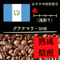 【熟成焙煎】グアテマラ・ＳＨＢ　(200ｇ）